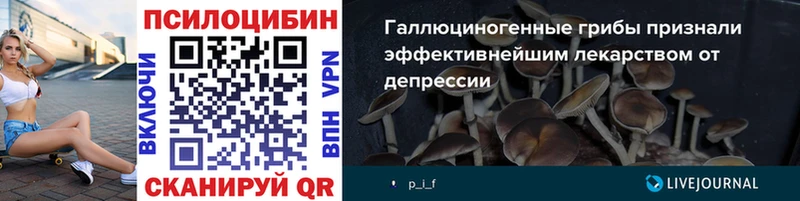 Купить  Короча  Галлюциногенные грибы ЛСД 
